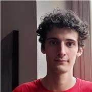 Studente di Ingegneria Informatica aiuta studenti delle medie e delle superiori in Matematica e Fisica